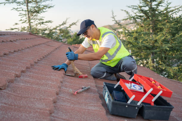 Best Roof Replacement Cost  in Holly Springs, GA